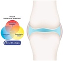 purity-products-ha-joint-formula-hyaluro-5.jpg