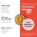 designs-for-health-homocysteine-supreme--3.jpg