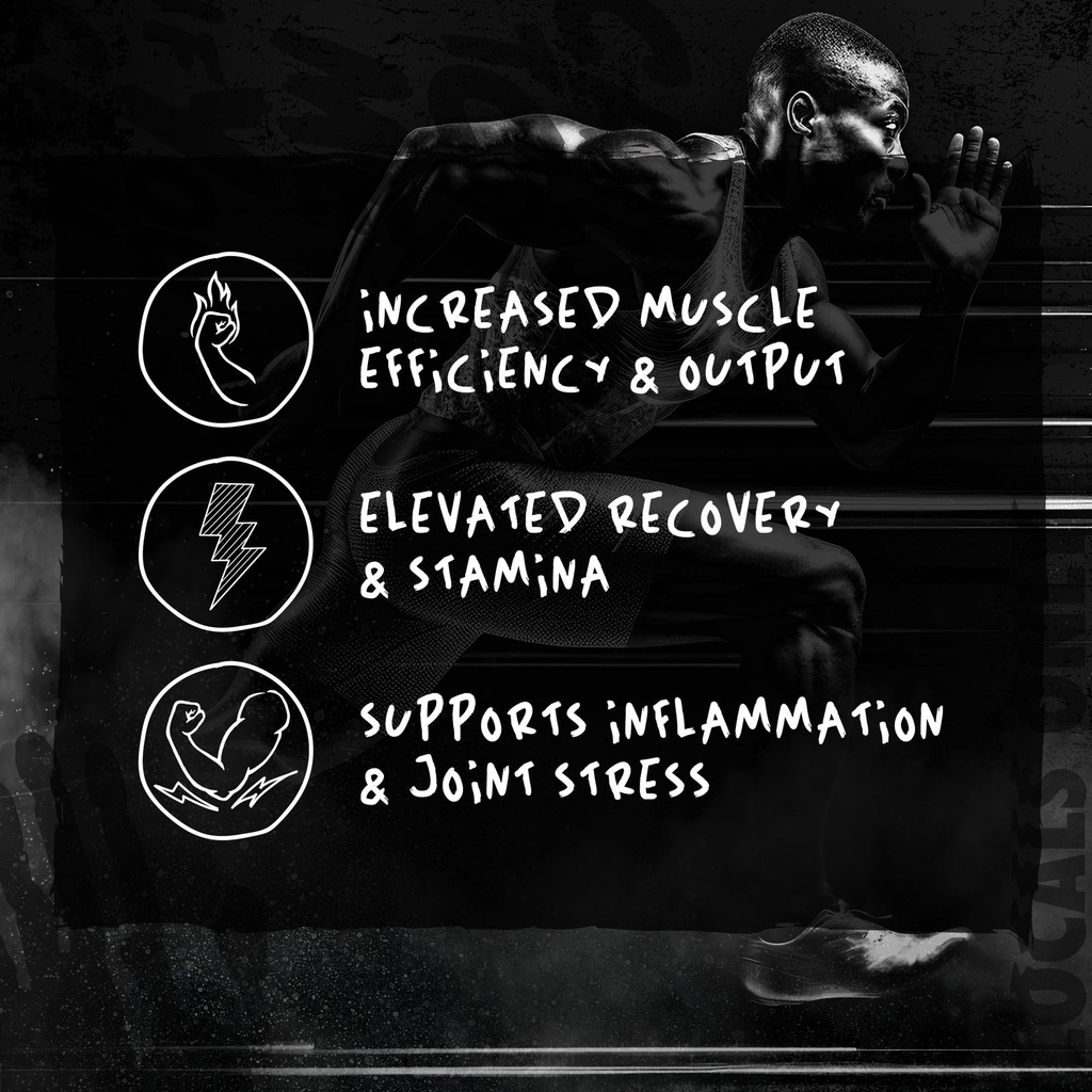 afterdark-organx-organ-support-comprehen-5.jpg