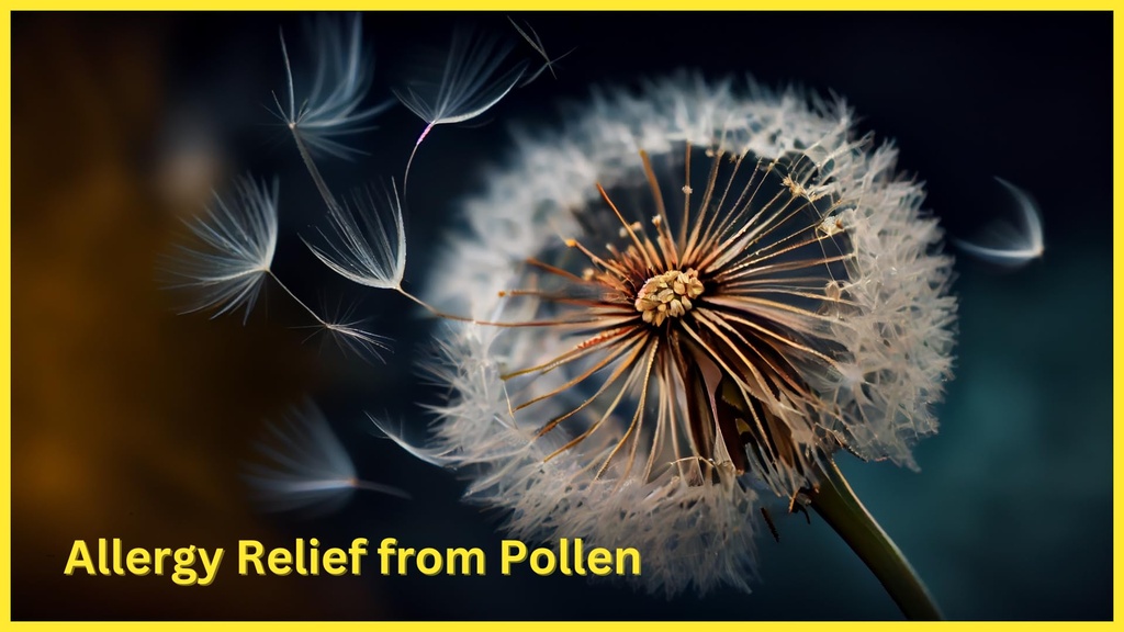 medplus-allergy-relief-medicine-diphenhy-5.jpg