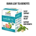 guava-leaf-tea-24-tea-bags-100-organic-n-2.jpg