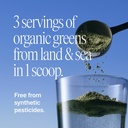 ora-organic-greens-powder-vegan-gluten-f-3.jpg