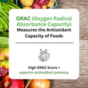 paradise-herbs-orac-energy-protein-green-3.jpg