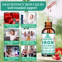 liquid-iron-supplement-w-vitamin-c-b-com-2.jpg