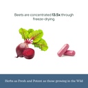eclectic-herb-beet-juice-45-servings-90--6.jpg