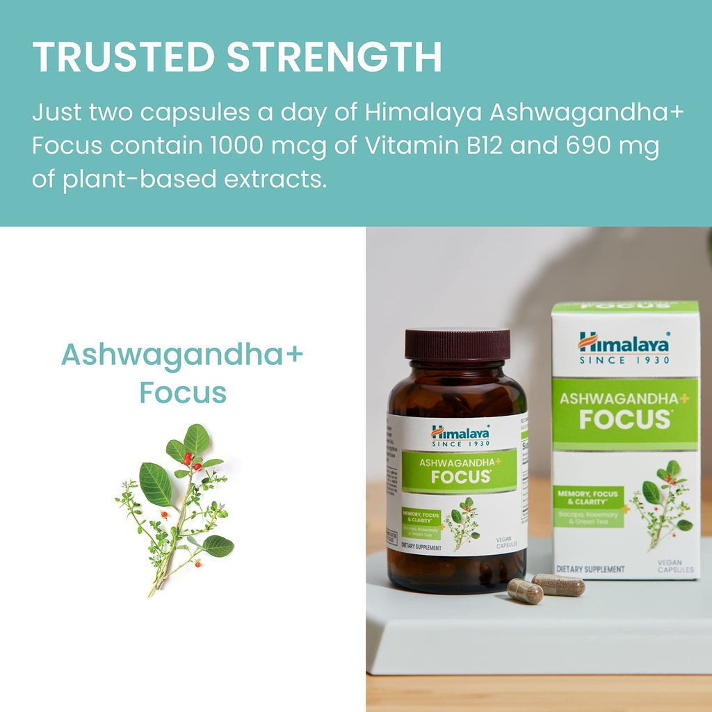 himalaya-ashwagandha-focus-herbal-focus--6.jpg