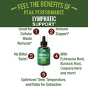 peak-performance-lymphatic-drainage-drop-2.jpg