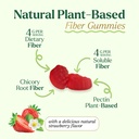 prebiotic-fiber-gummies-4g-dietary-fiber-3.jpg
