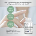 organixx-magnesium-7-joint-muscle-care-b-4.jpg