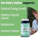 thyroid-support-for-women-iodine-supplem-2.jpg