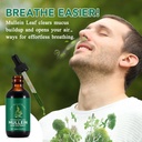 mullein-drops-for-lungs-2-fl-oz-mullein--3.jpg