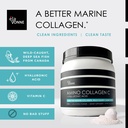 3-pack-amino-collagen-c-collagen-powder--2.jpg