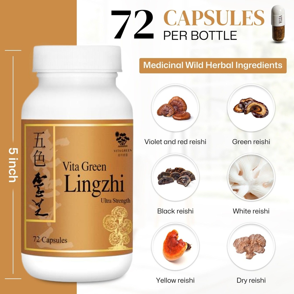 vita-green-lingzhi-mushroom-supplement-p-5.jpg