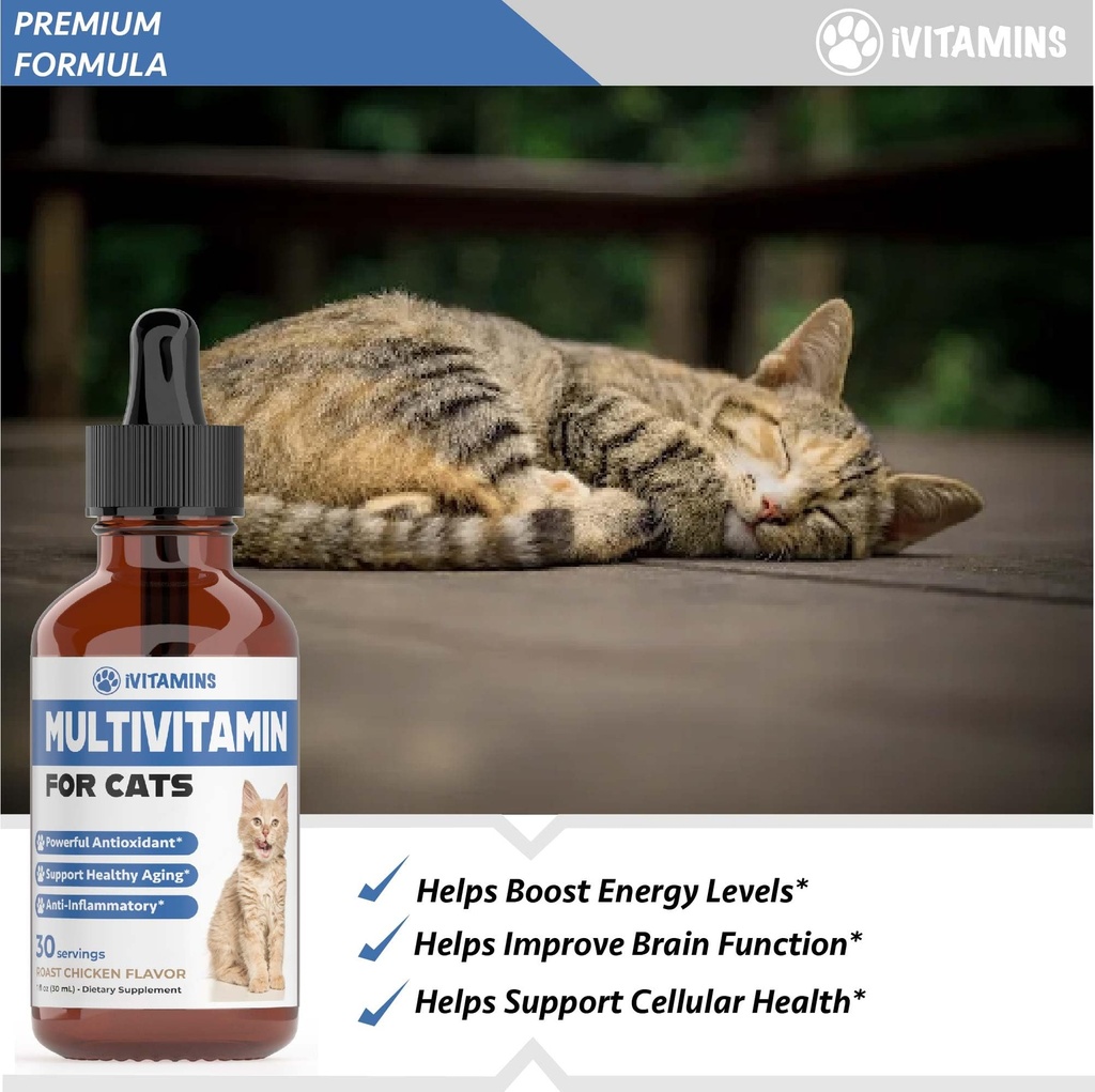cat-multivitamin-supports-immune-health--3.jpg