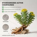 rhodiola-rosea-supplement-golden-root-ad-4.jpg