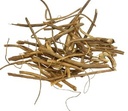 devil-s-shoestring-root-viburnum-opulus--2.jpg