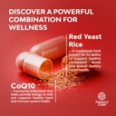 red-yeast-rice-with-coq10-supplement-adv-6.jpg
