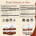 real-mushrooms-reishi-cordyceps-for-huma-3.jpg