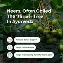 h-c-natural-neem-leaves-powder-227-grams-3.jpg