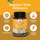 pure-quercetin-with-bromelain-supplement-4.jpg