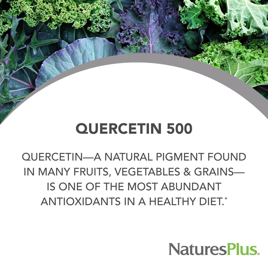 naturesplus-pro-quercetin-500-mg-60-caps-2.jpg