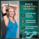 wild-fuel-hmb-with-vitamin-d3-and-keto-m-5.jpg