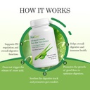 aloecure-digestion-support-pack-lemon-fl-4.jpg