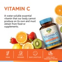 terranics-vitamin-c-elderberry-zinc-with-5.jpg