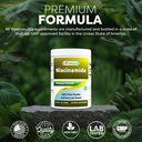 best-naturals-niacinamide-vitamin-b3-pur-5.jpg