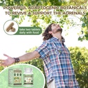 adrenal-support-supplements-for-daily-ba-6.jpg