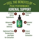 peak-performance-adrenal-support-supplem-2.jpg
