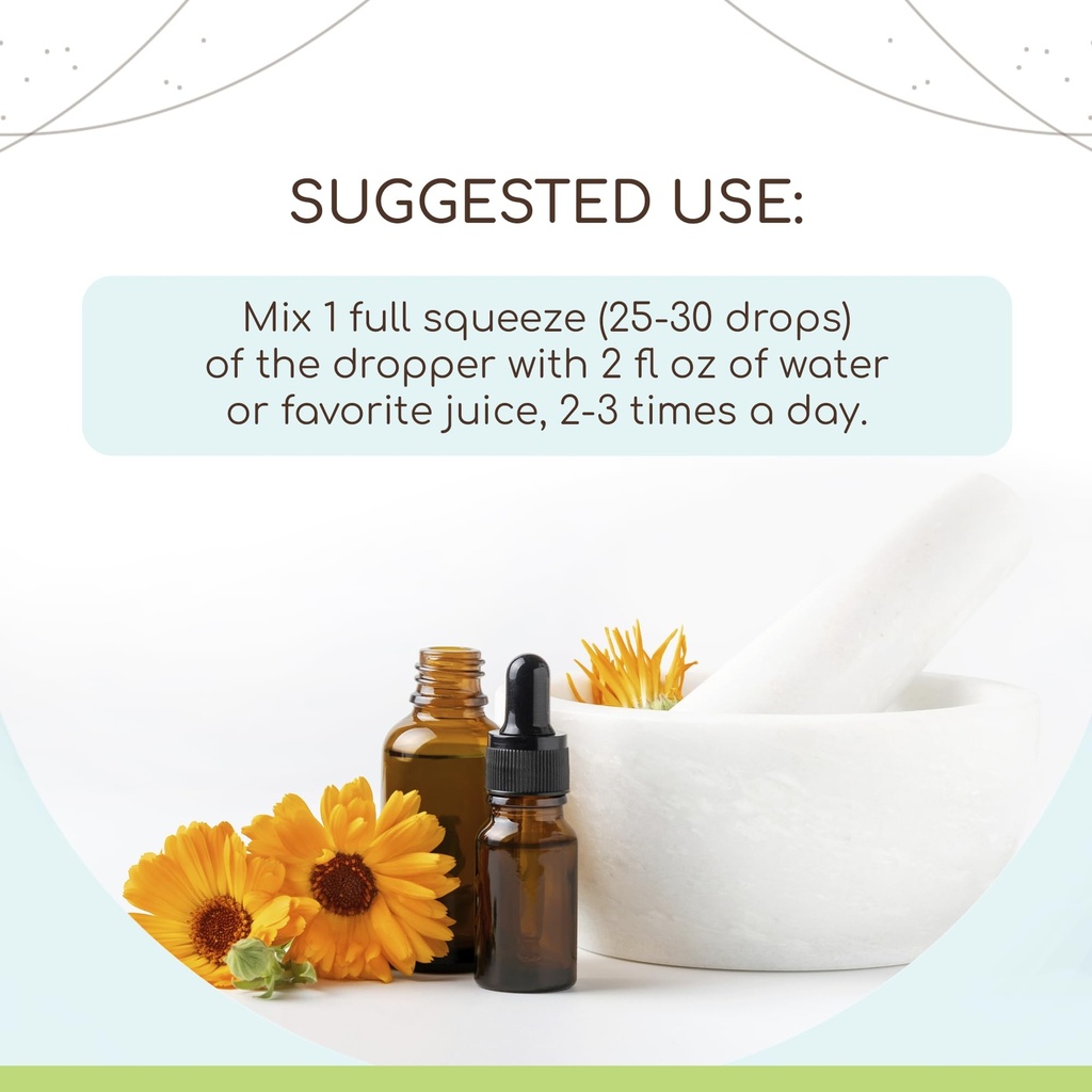 chanca-piedra-b120-alcohol-free-herbal-e-2.jpg