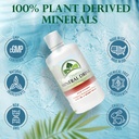 organa-trace-minerals-liquid-colloidal-m-3.jpg
