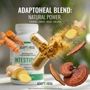 adaptoheal-intestinal-support-adaptogeni-5.jpg