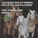 new-country-organics-i-organic-kelp-supp-4.jpg