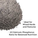 new-country-organics-i-organic-kelp-supp-5.jpg