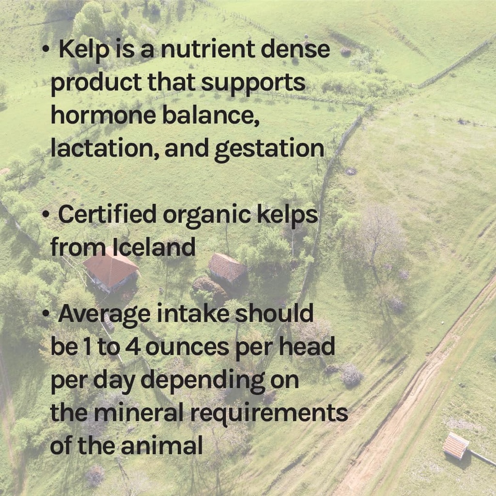 new-country-organics-i-organic-kelp-supp-6.jpg