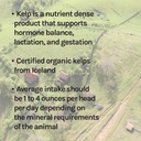 new-country-organics-i-organic-kelp-supp-6.jpg