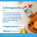 doctor-s-best-ashwagandha-with-sensoril--5.jpg
