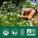 organic-india-ashwagandha-powder-organic-5.jpg