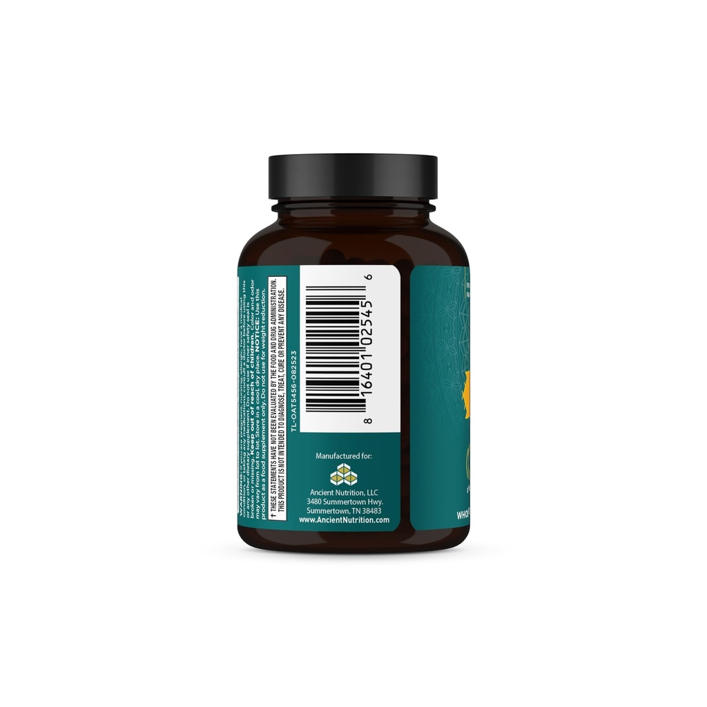 ancient-nutrition-ashwagandha-tablets-st-2.jpg