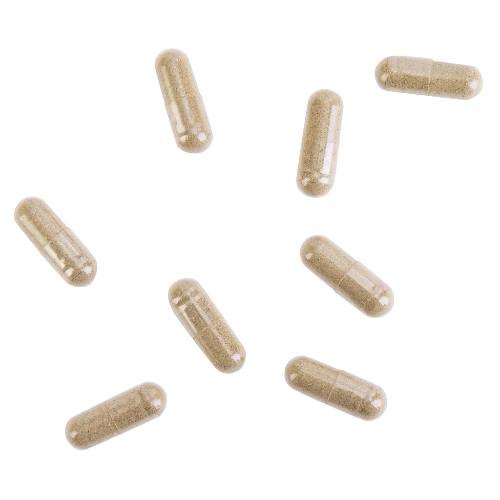 kroeger-herb-products-candida-formula-2--6.jpg