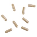 kroeger-herb-products-candida-formula-2--6.jpg