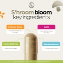 shroom-bloom-mushroom-supplement-10-mush-3.jpg