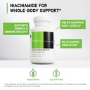 davinci-labs-niacinamide-dietary-supplem-3.jpg