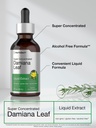 horb-ach-damiana-leaf-herb-tincture-2-fl-4.jpg