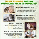 cat-constipation-relief-constipation-rel-2.jpg