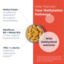 designs-for-health-homocysteine-supreme--3.jpg