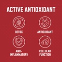 purus-labs-organ-shield-active-antioxida-3.jpg