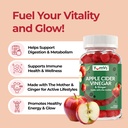 yum-v-s-apple-cider-vinegar-gummies-acv--2.jpg
